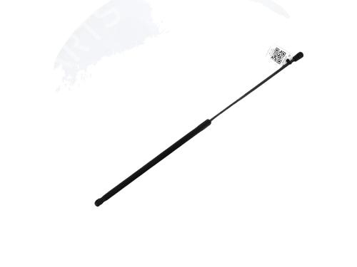 Used Hood lift support VW GOLF V (1K1) 1.6 (102 hp) 29047754