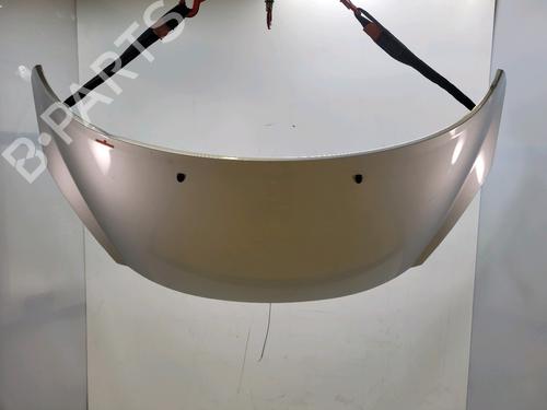 Used Hood PEUGEOT 207 (WA_, WC_) 1.6 HDi (92 hp) 32181220