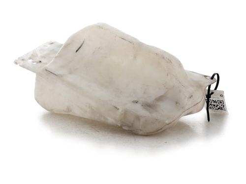 windscreen-washer-tank-nissan-qashqai-i-j10-nj10-2006-2007-2008-2009-2010-2011-2012-2013-2014-2015-30957012 main image