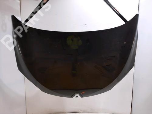 Used Hood Hood RENAULT MEGANE III Hatchback (BZ0/1_, B3_) 1.9 dCi (BZ0N, BZ0J) (131 hp) 11200014 11200014