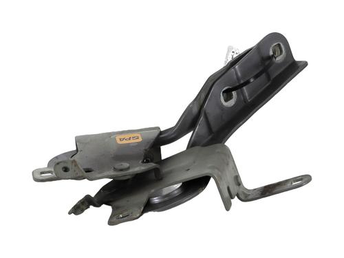 Hinge/Door check strap RENAULT CLIO IV (BH_) 1.2 TCe 120 (BHAU) | BP29145016C146 