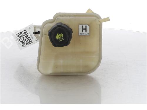 Used Expansion tank NISSAN QASHQAI / QASHQAI +2 I (J10, NJ10, JJ10E) 1.6 (117 hp) 17177076