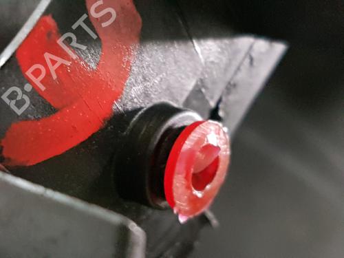 Engine RENAULT TWINGO II (CN0_) 1.2 16V (CN04, CN0B) | BP32202289M1 