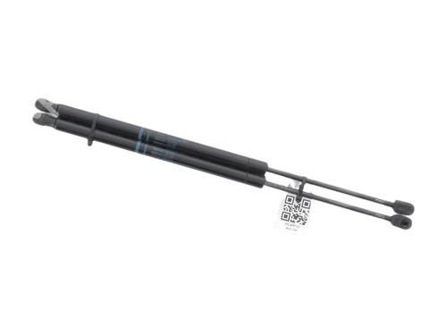 tailgate-lift-support-renault-scenic-ii-jm01_-2003-2004-2005-2006-2007-2008-2009-2010-40557295 main image