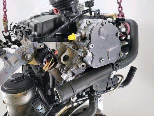 Motor VW GOLF PLUS V (5M1, 521)  | BP28161063M1 
