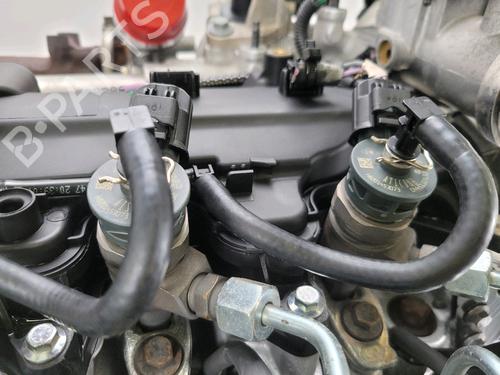 Engine RENAULT KANGOO Express (FW0/1_) 1.5 dCi 90 (FW0G, FW05, FW08, FW11) | BP29416882M1 