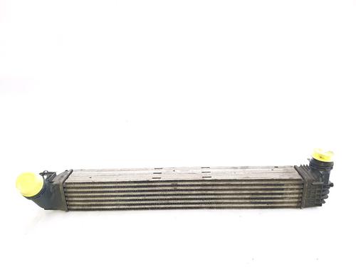 Intercooler RENAULT SCÉNIC III (JZ0/1_) 1.5 dCi (110 hp) 28332903