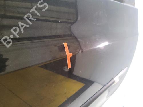 Right front door RENAULT CLIO III (BR0/1, CR0/1) 1.5 dCi | BP30313046C3 