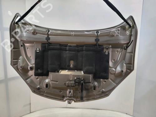 Hood RENAULT MEGANE III Hatchback (BZ0/1_, B3_) 1.6 dCi (BZ00, BZ12, BZ13) | BP28971931C1 