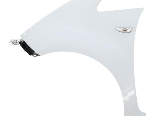 Guarda-lamas esquerdo Guarda-lamas esquerdo KIA VENGA (YN) 1.4 CRDi 90 (90 hp) 36373815 36373815