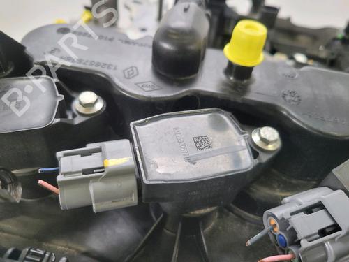 Engine DACIA SANDERO III 1.0 TCe 100 ECO-G | BP30312618M1 