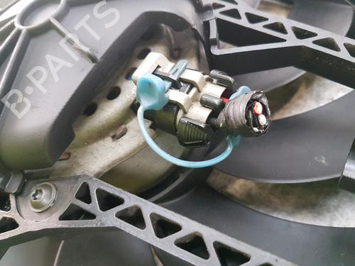 Radiator fan FIAT PANDA (169_) 1.2 4x4 (169.AXB2A) | BP15078323M35 