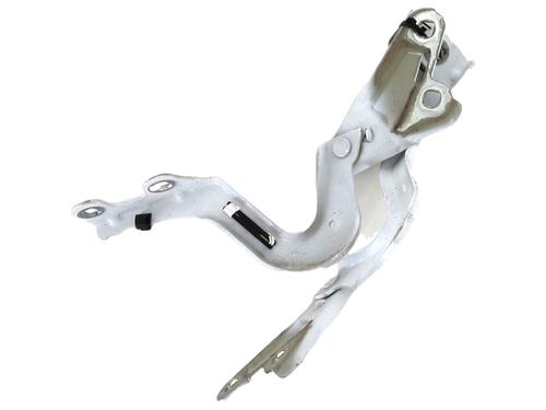 Hinge/Door check strap FORD PUMA (J2K, CF7) 1.0 EcoBoost | BP29346778C146 