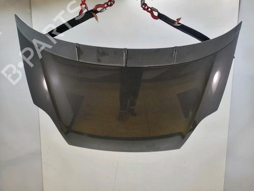 Capot FIAT PUNTO (199_) 1.2 (199AXZ1A, 199BXZ1A) (69 hp) 33111299