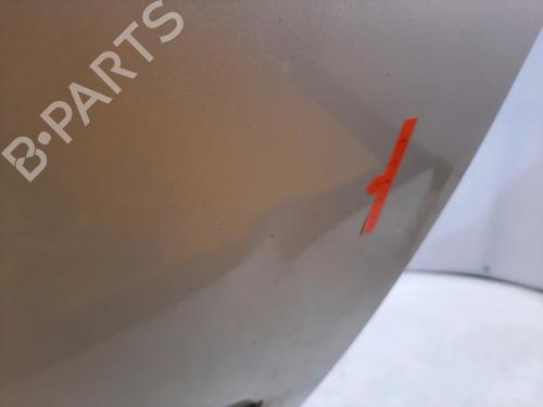 Right front door RENAULT SCÉNIC II (JM0/1_) 1.9 dCi (JM14) | BP18860896C3 