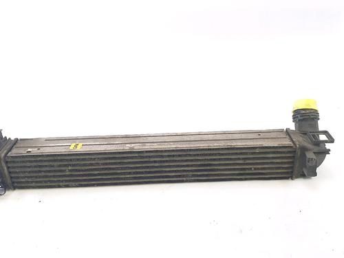 Intercooler RENAULT SCÉNIC III (JZ0/1_) 1.5 dCi | BP28486982M30 