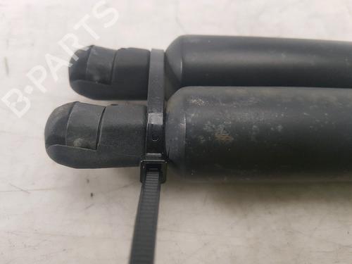 Tailgate lift support VW SHARAN (7M8, 7M9, 7M6) 2.0 TDI | BP27916882C138 