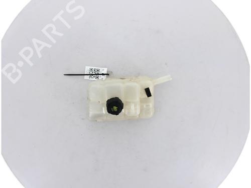 Expansion tank RENAULT TALISMAN (LP_) 1.6 dCi 160 | BP17737223C120 