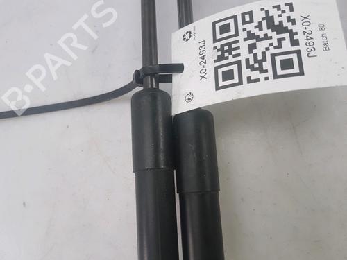Tailgate lift support TOYOTA PRIUS Liftback (_W2_) 1.5 Hybrid (NHW20_, NHW20R) | BP27916862C138 