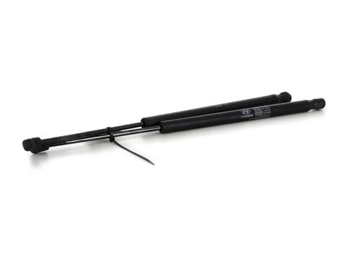 Tailgate lift support HYUNDAI TUCSON (JM)  | BP27908957C138 