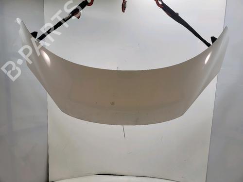 Used Hood RENAULT SCÉNIC III (JZ0/1_) 1.9 dCi (JZ0J, JZ1J, JZ1K, JZ1S) (131 hp) 27354360