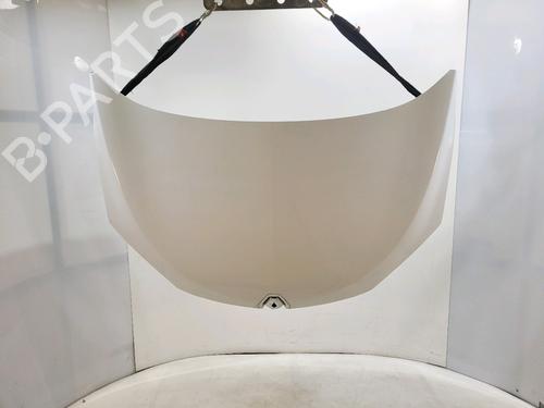 Used Hood RENAULT MEGANE III Hatchback (BZ0/1_, B3_) 1.9 dCi (BZ0N, BZ0J) (131 hp) 31285272