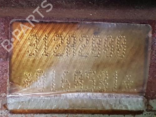 Engine FIAT 500 (312_) 0.9 (312AXG1A, 312.AXG11) | BP29931013M1 