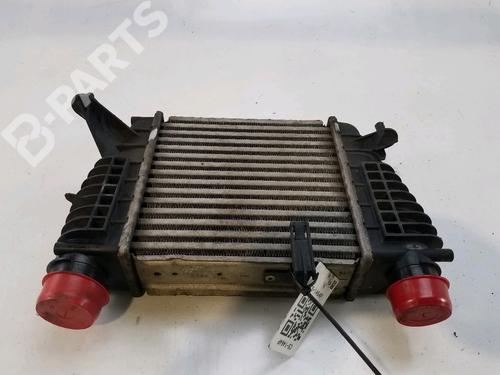 Used Intercooler Intercooler RENAULT CLIO III (BR0/1, CR0/1) 1.5 dCi (BR17, CR17) (86 hp) 11123668 11123668
