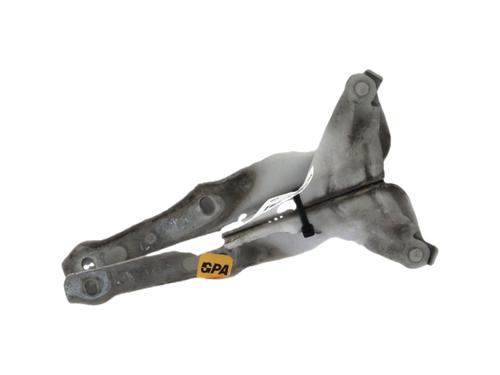 hingedoor-check-strap-vw-scirocco-iii-137-138-2008-2009-2010-2011-2012-2013-2014-2015-2016-2017-2018-40619134 main image