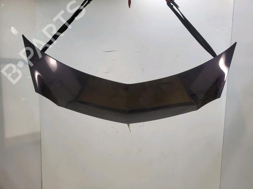 Capot RENAULT MODUS / GRAND MODUS (F/JP0_) 1.5 dCi (FP0F, JP0F) (86 hp) 23264907