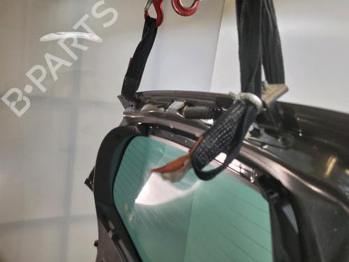 Tailgate RENAULT CLIO III (BR0/1, CR0/1) 1.5 dCi (BR17, CR17) | BP29820277C6
