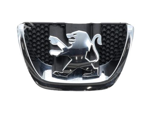 Used Grille PEUGEOT 206+ (2L_, 2M_) 1.4 HDi eco 70 (68 hp) 30165990