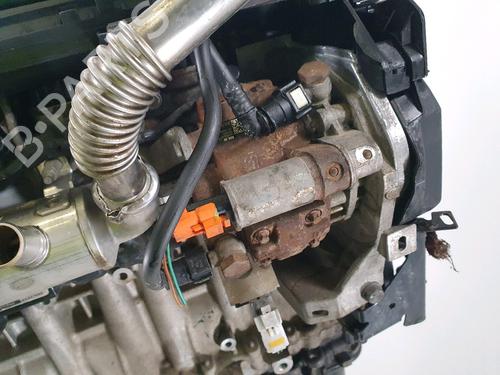 Engine FORD FIESTA VI (CB1, CCN) 1.4 TDCi | BP30800134M1