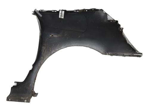 Left front fenders RENAULT ESPACE IV (JK0/1_) 2.0 dCi (JK01, JK02, JK1J, JK1K, JK1H) | BP29964364C41