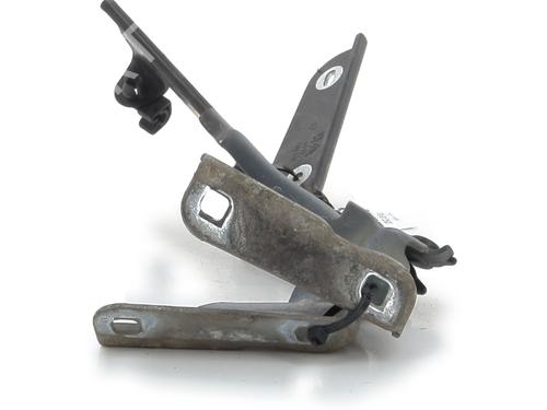 Hinge/Door check strap CITROËN C4 Coupe (LA_) 1.6 HDi | BP29232078C146 