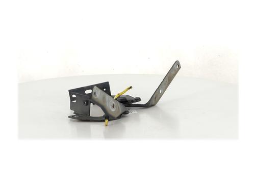 Hinge/Door check strap CITROËN C4 Picasso I MPV (UD_)  | BP27912334C146 