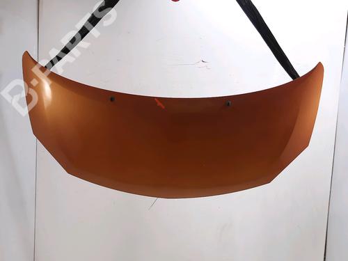 Used Hood Hood RENAULT TWINGO II (CN0_) 1.2 16V (CN0K, CN0V, CN0A) (76 hp) 11200010 11200010