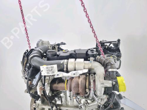 Motor FORD FIESTA VI (CB1, CCN) 1.4 TDCi | BP30449655M1