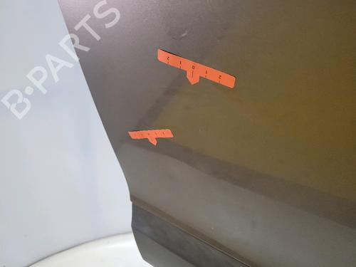 Right front door RENAULT SCÉNIC III (JZ0/1_) 1.5 dCi | BP29874766C3