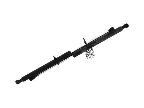 Used Tailgate lift support RENAULT CLIO III (BR0/1, CR0/1) 1.5 dCi (75 hp) 27908189
