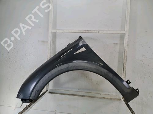 Used Left front fenders RENAULT SCÉNIC II (JM0/1_) [2003-2010]  16651654