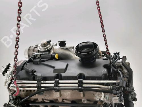 Engine AUDI A3 (8P1) 1.9 TDI | BP33166238M1  - Image 5