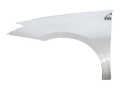 Used Left front fenders RENAULT LAGUNA III (BT0/1) 2.0 dCi (BT01, BT08, BT09, BT0E, BT0K, BT12, BT1C, BT1D,... (150 hp) 30094121