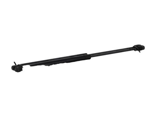 Tailgate lift support RENAULT SCÉNIC II (JM0/1_) 1.5 dCi (JM1E, JM16) | BP30190347C138