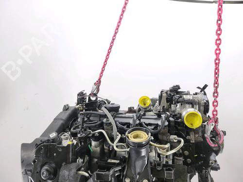 Motor RENAULT KANGOO Express (FW0/1_) 1.5 dCi 90 (FW0G, FW05, FW08, FW11) | BP21091142M1 