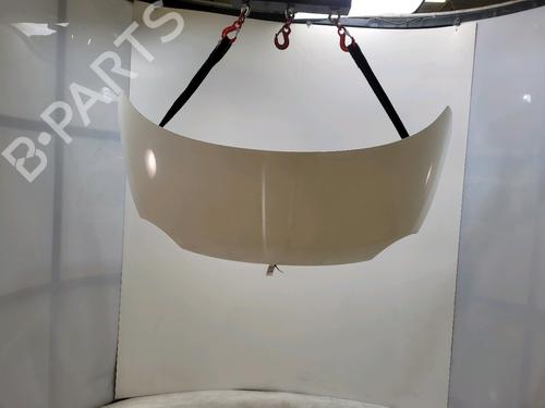 Used Hood Hood FIAT 500 (312_) 1.2 (312AXA1A) (69 hp) 34712101 34712101