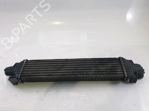 Intercooler FORD FOCUS II Turnier (DA_, FFS, DS) 1.6 TDCi | BP25209301M30 