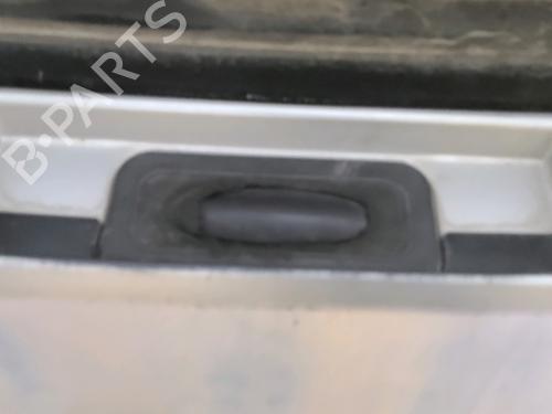 Tailgate RENAULT SCÉNIC III (JZ0/1_) 1.5 dCi | BP29552812C6 
