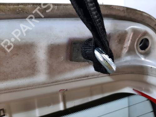 Tailgate MINI MINI (R50, R53)  | BP16636321C6 