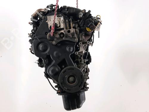 Used Engine FORD FUSION (JU_) 1.6 TDCi (90 hp) 31866323